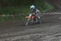 Thumbs/tn_02081_linke_50.jpg