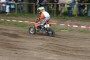 Thumbs/tn_02114_roeder_50.jpg