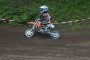 Thumbs/tn_02118_linke_50.jpg