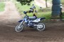 Thumbs/tn_02123_karbautzki_85.jpg