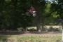 Thumbs/tn_02127_hotho_85.jpg
