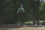 Thumbs/tn_02128_---------85.jpg
