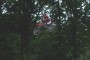 Thumbs/tn_02131_hotho_85.jpg