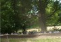 Thumbs/tn_02136_czepa_125.jpg
