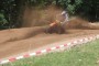 Thumbs/tn_021433_hechel_4t.jpg