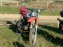 Thumbs/tn_ao005.jpg