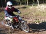 Thumbs/tn_ao018.jpg