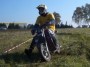 Thumbs/tn_ao022.jpg