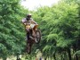 Thumbs/tn_fn_0019.jpg