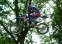 Thumbs/tn_ku_0133.jpg