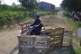 Thumbs/tn_tp063.jpg