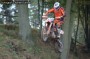 Thumbs/tn_dk_095.jpg