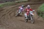 Thumbs/tn_dk_103.jpg