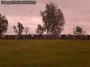 Thumbs/tn_070929_059.jpg