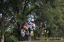 Thumbs/tn_080920_047.jpg