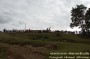 Thumbs/tn_080920_267.jpg