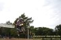 Thumbs/tn_080920_306.jpg