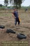 Thumbs/tn_080920_393.jpg