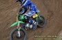 Thumbs/tn_080920_455.jpg